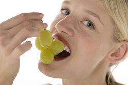 Ernährung
